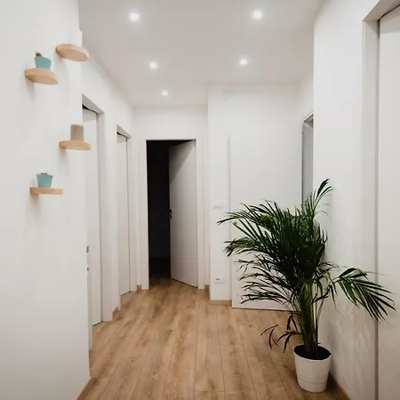 La Boutique Del Vento - Esclusivo In Pieno Centro 公寓 的里雅斯特